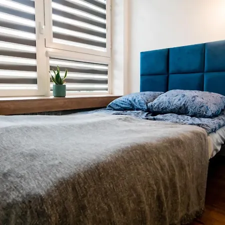 Komfortowe W Centrum Miasta Nr 1 Apartment