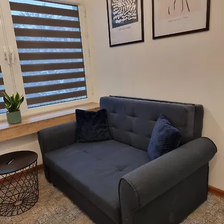 Apartment Komfortowe W Centrum Miasta Nr 1 *