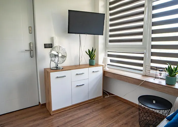 Komfortowe W Centrum Miasta Nr 1 *