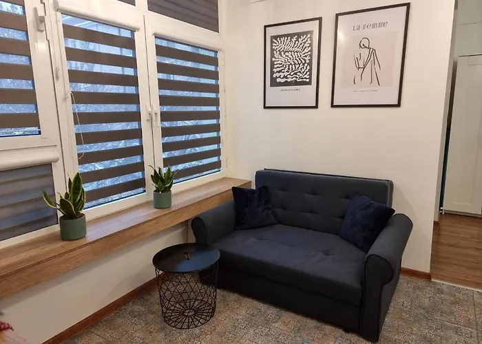 Komfortowe W Centrum Miasta Nr 1 Lejlighed *